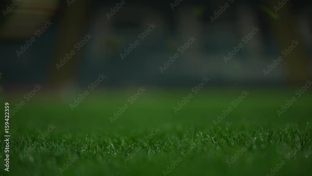 Brown american football ball lying on green grass on stadium. Then player picking it in slowmotion. Close up Brown american football ball lying on green grass on stadium. Then player picking it in slowmotion. Close up