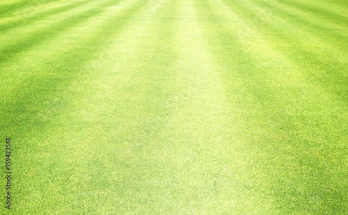 grass background Golf Courses green lawn © scenery1