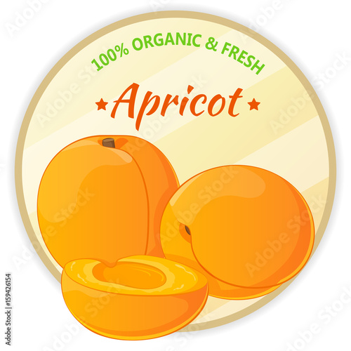 Vintage label with apricots isolated on white background in cartoon style. Vector illustration. Fruit and Vegetables Collection.