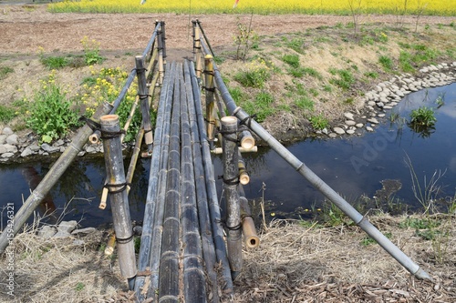 竹製の橋と水路