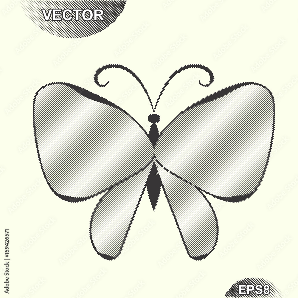 Striped Summer Butterfly Striped Summer Butterfly