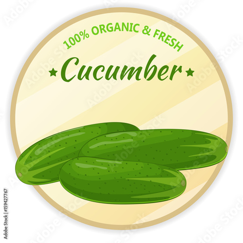 Vintage label with cucumber isolated on white background in cartoon style. Vector illustration. Fruit and Vegetables Collection.