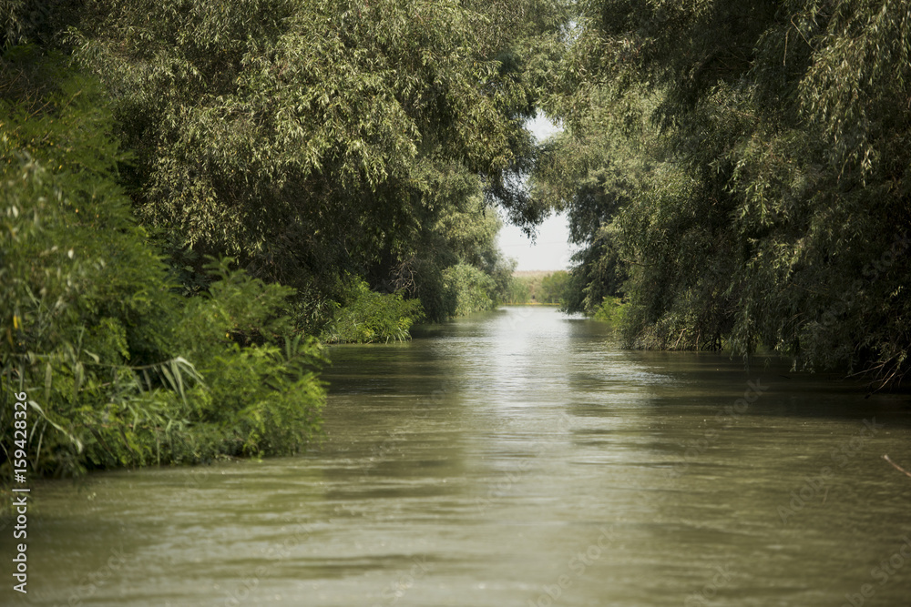 Fototapeta premium Channel landscape with waves in Danube Delta, Romania, on summer day