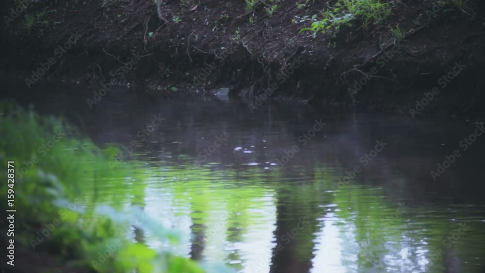 Mysterious Fog Flows Over The Water Mysterious Fog Flows Over The Water