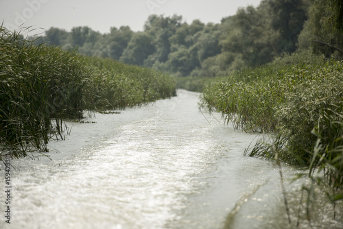 Channel landscape with waves in Danube Delta, Romania, on summer day photo