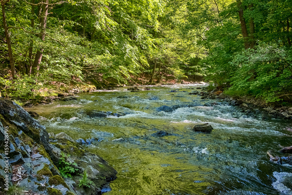 Fototapeta premium Bodetal Harz Sagenharz