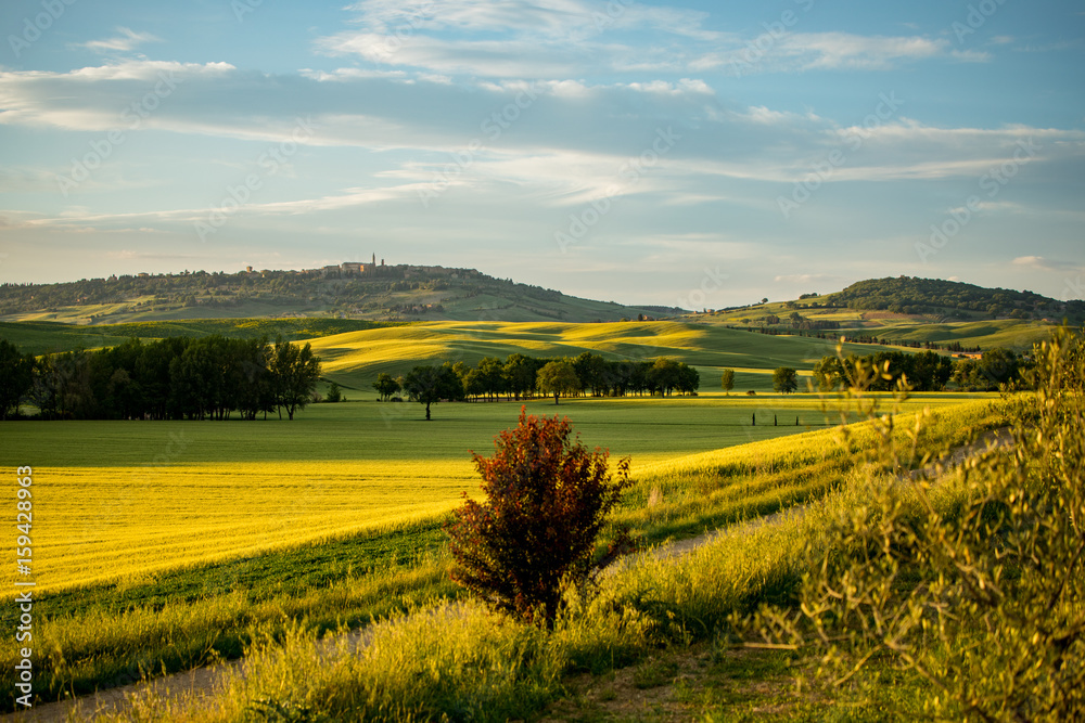Fototapeta premium Beautiful and miraculous colors of green spring panorama landscape of Tuscany, Italy.