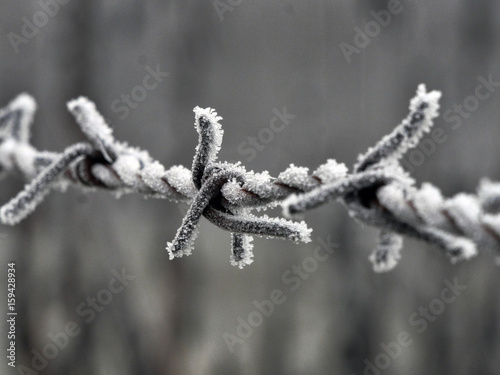 frozen wire, frost