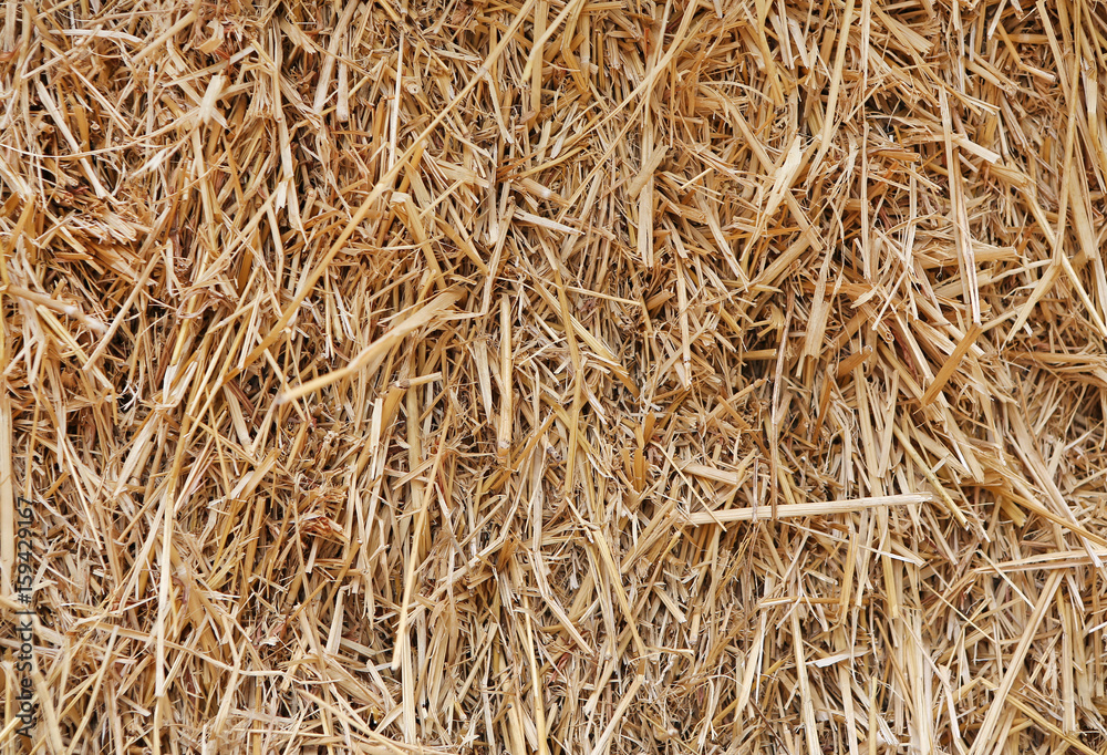 Close up of straw background texture. Close up of straw background texture.