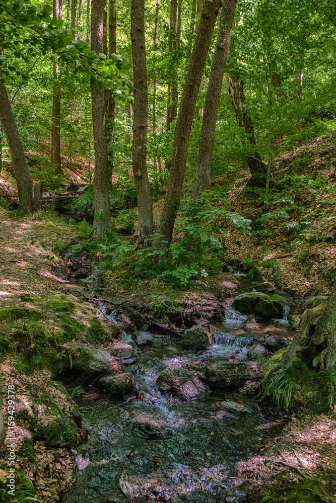 Fototapeta premium Bodetal Harz Sagenharz