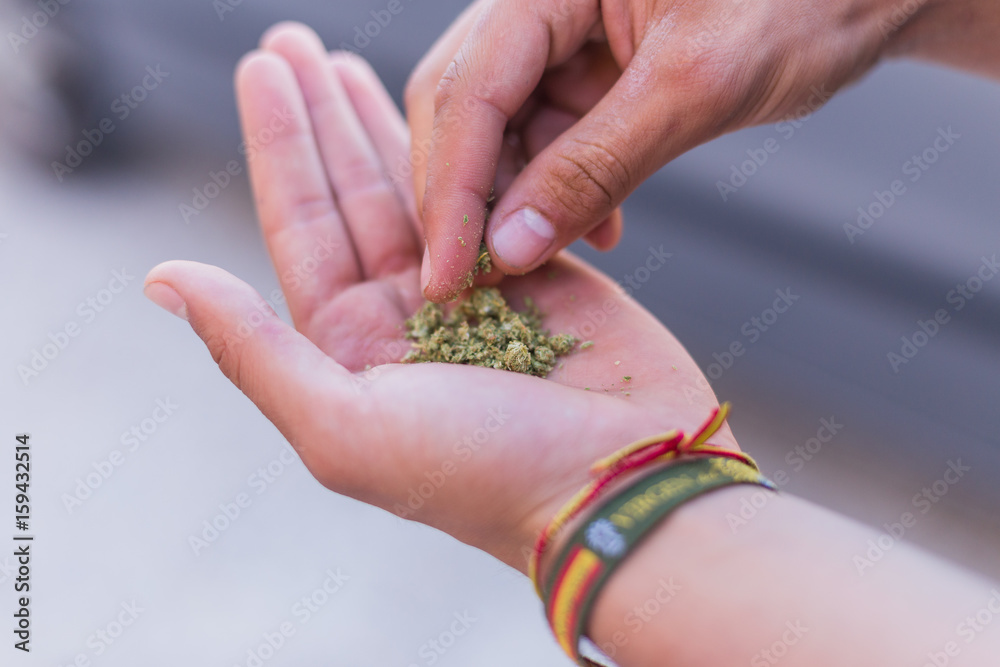 Joven haciendo un porro de Marihuana