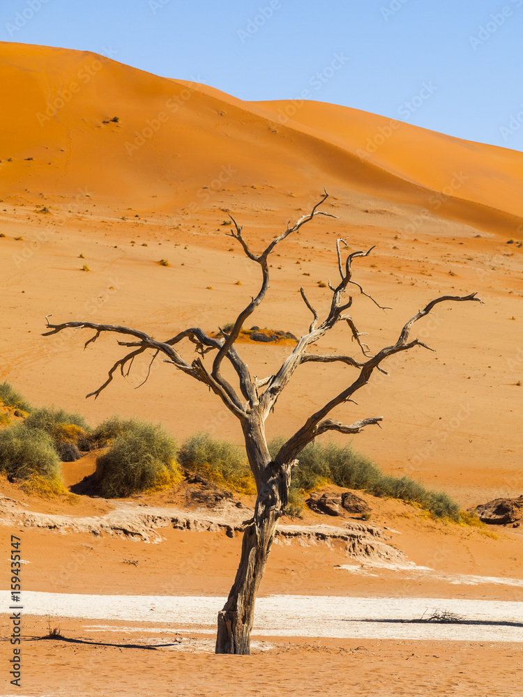 Sossusvlei in the Namib Naukluft National Park, Sesriem, Namibia