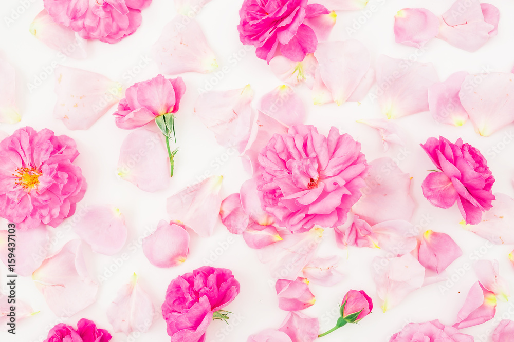 Beautiful pink rose flowers and petals on white background. Flat lay, top view. Floral pattern