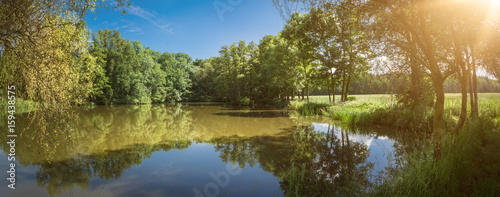 Summer and sunny view to a rural small pond