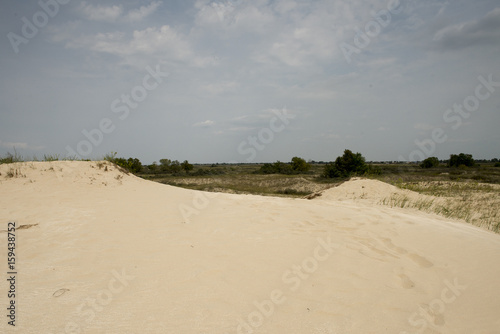 Sand dunes in Letea forest , in the Danube Delta area, Romania, in a sunny summer day