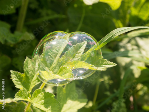 Triple shiny soap bubble on green grass lawn