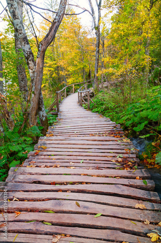 Wood path in the Plitvice lake national park