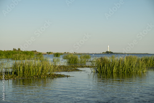Landscape with waterline, birds, reeds, vegetation and Sulina lighthouse in Danube Delta, Romania, in a sunny summer day