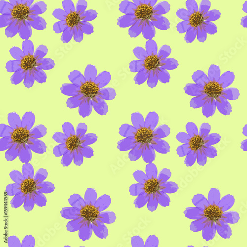 Cosmos. Seamless pattern texture of flowers. Floral background, photo collage © svrid79