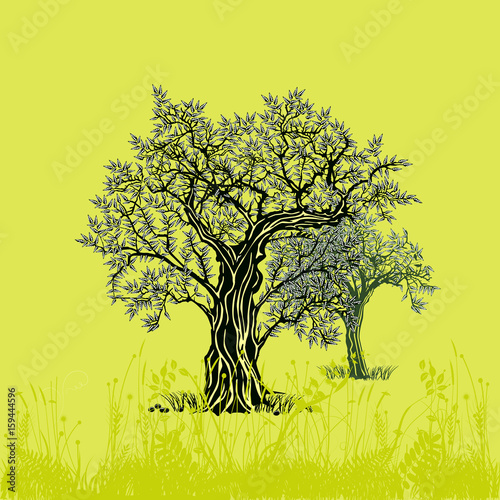 Olivenbäume auf oliv Illustration