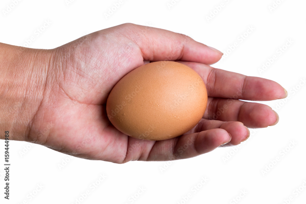 Fresh Eggs are holding by hand. Fresh Eggs are holding by hand.