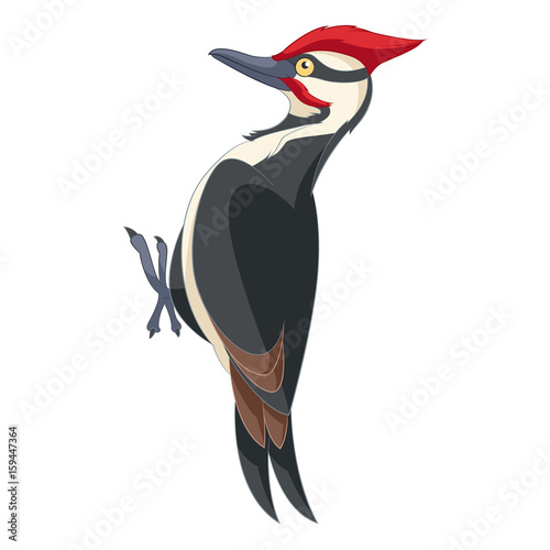 Cartoon smiling woodpecker photo