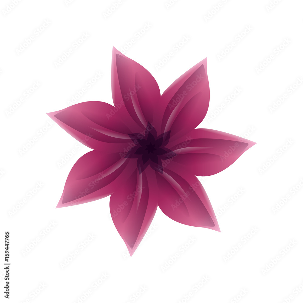 Beautiful ornamental flowers icon vector illustration graphic design