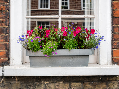 Fototapeta Naklejka Na Ścianę i Meble -  English home with flowers in Greenwich Village, London