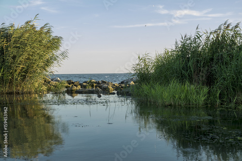 danube, delta, romania, channel, river, landscape, summer, water, day, nature, blue, green, natural, reflection, calm, vegetation, protected, danubian, beautiful, lake, wetland, sky, spring, tree, par