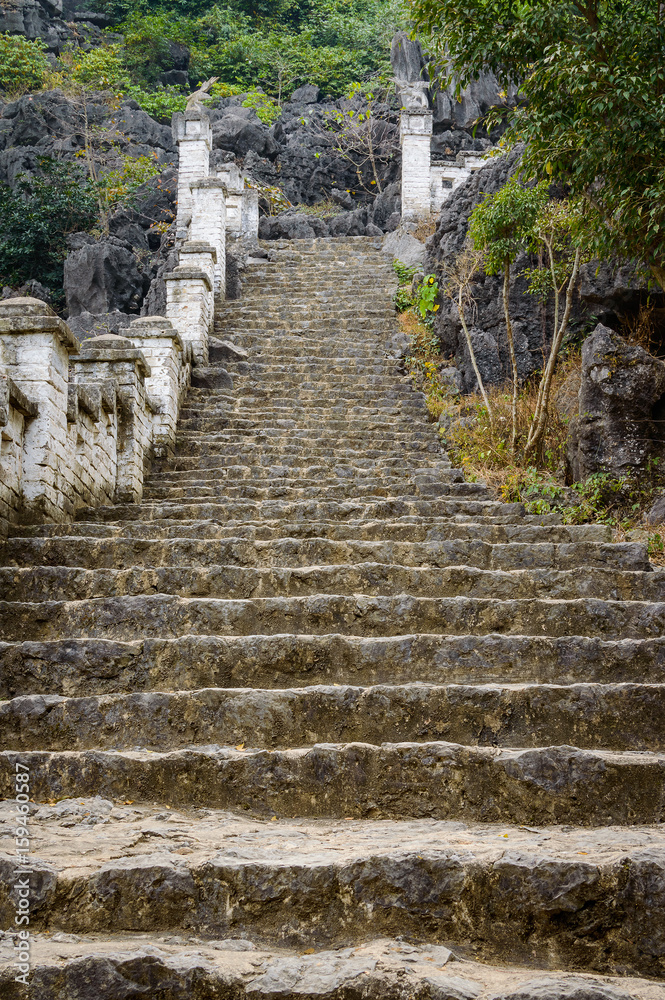 Stone steps in the jungle