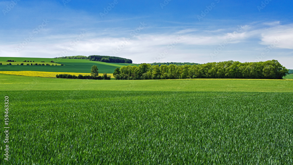 Obraz premium Agrarlandschaft