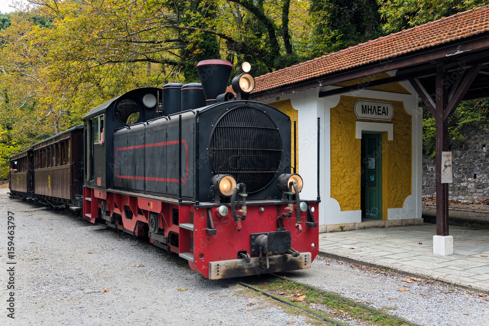 Obraz premium The old traditional train on Mount Pelion in Thessaly, Greece