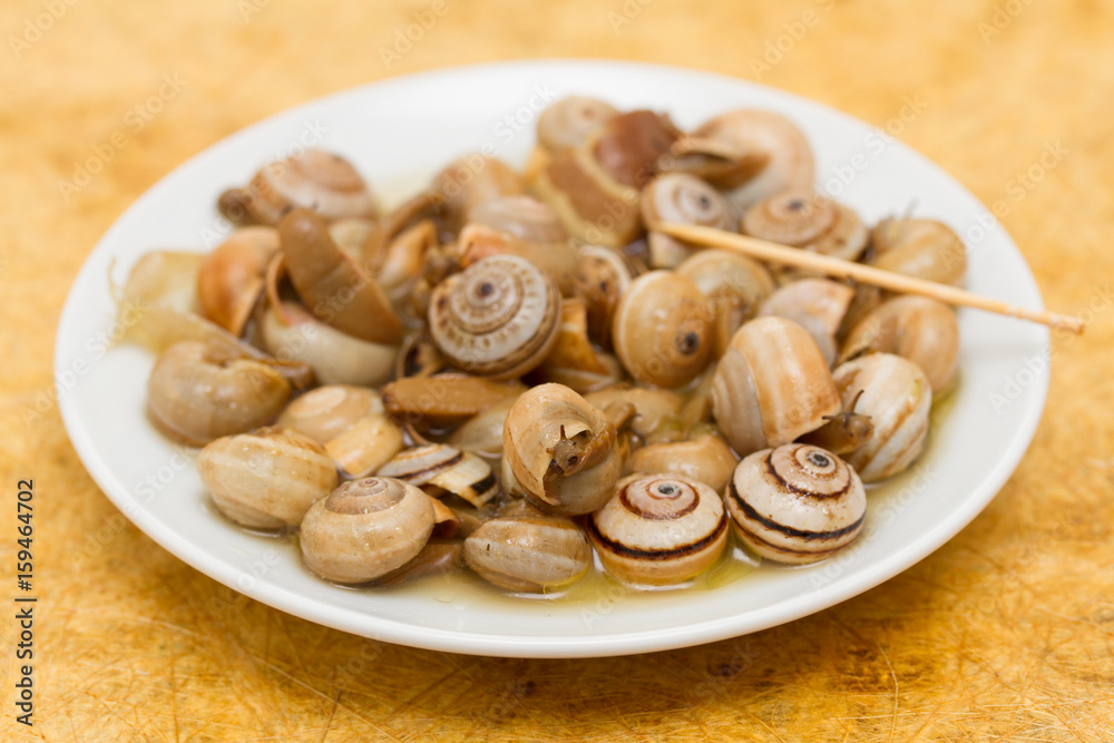 snails on white plate snails on white plate