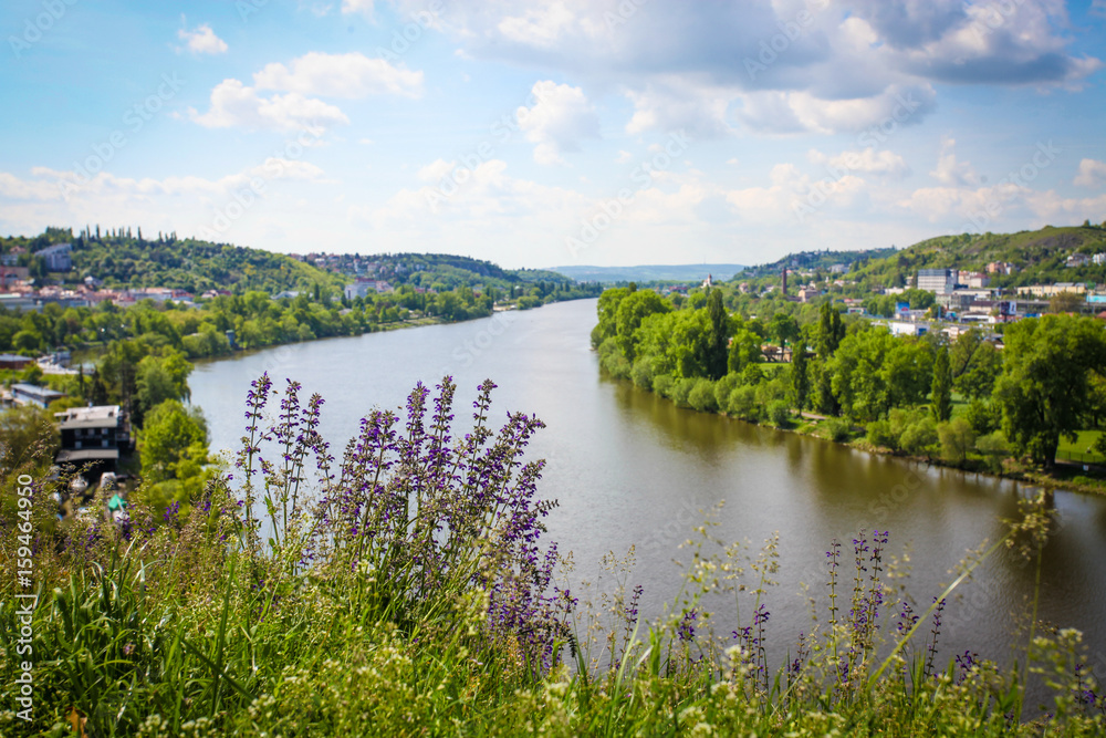 Obraz premium Famous Vltava river in Prague, Czech Republic. Landmarks of Prague, postcard of Prague