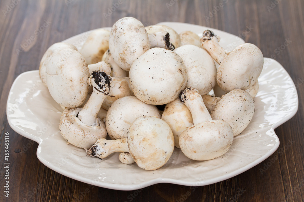 fresh mushrooms in white plate on wooden background fresh mushrooms in white plate on wooden background