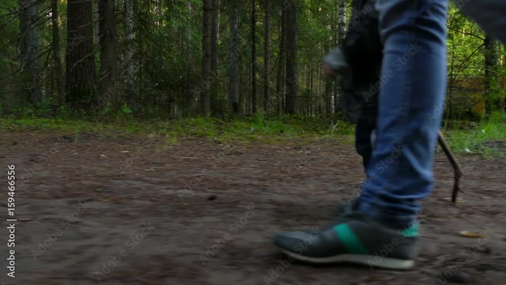 Mother and baby walking on country rural road in pine forest, focus on their feet Mother and baby walking on country rural road in pine forest, focus on their feet