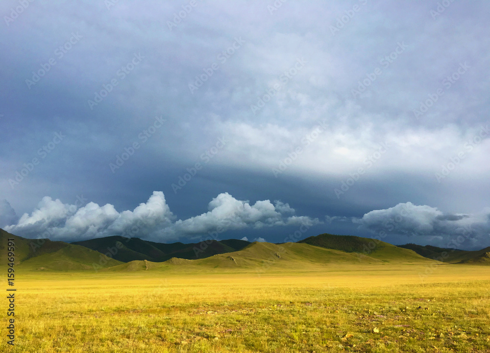 Meadow in Mongolia