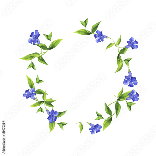 Canvas Print Blue bell flower or periwinkle garland painted by watercolor