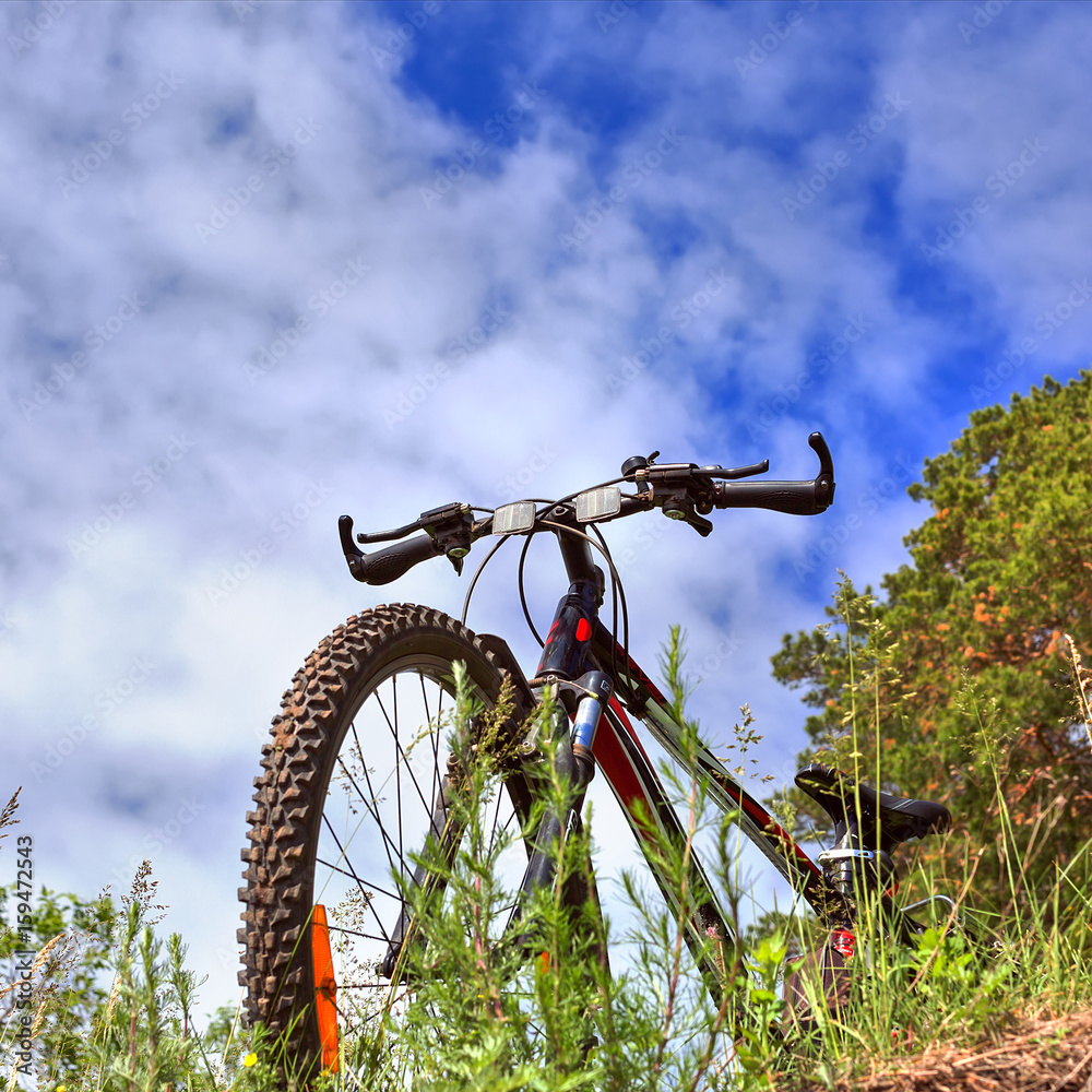 The bike on the background of sky and grass, view from bottom The bike on the background of sky and grass, view from bottom