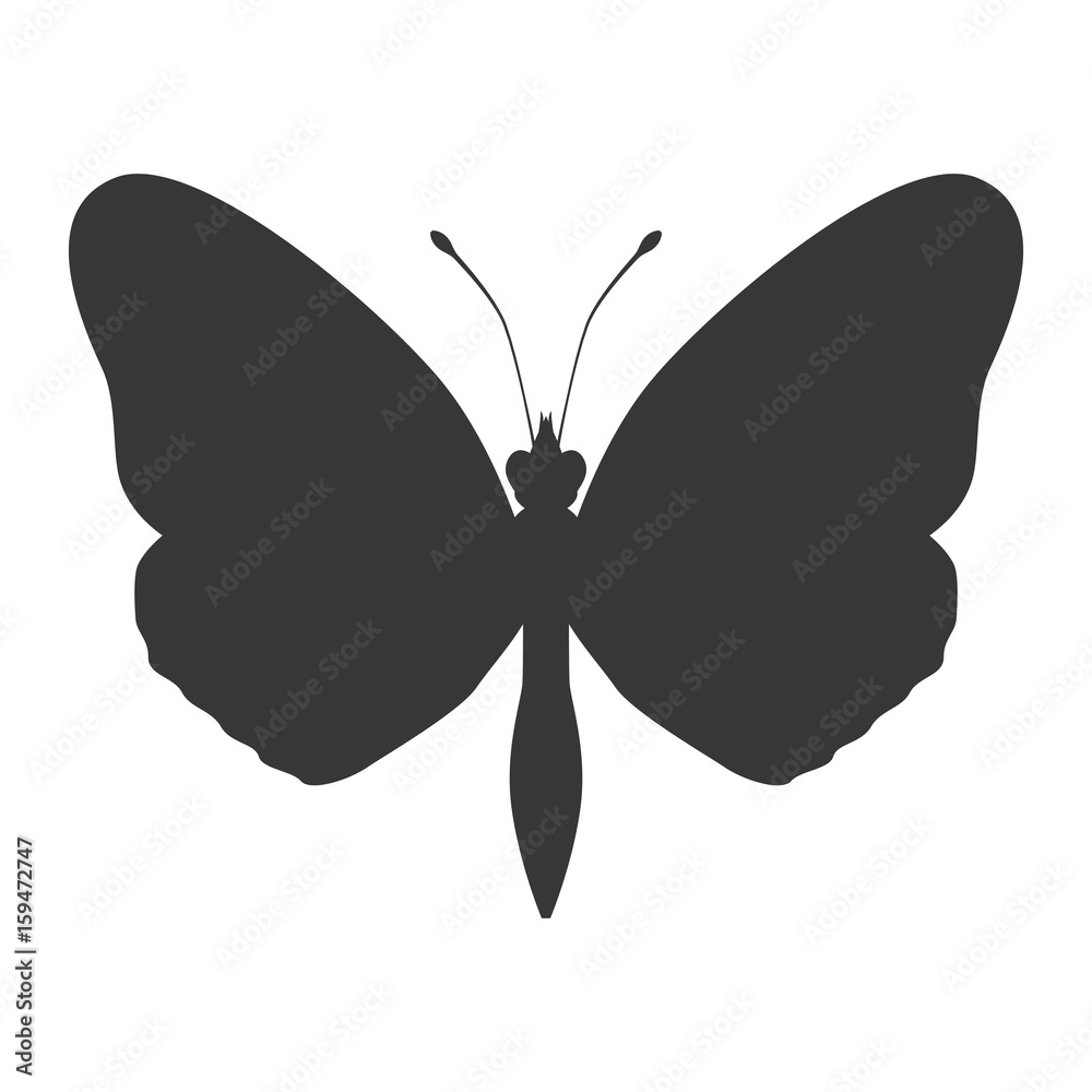 Beautiful Butterfly silhouette icon vector illustration graphic design Beautiful Butterfly silhouette icon vector illustration graphic design