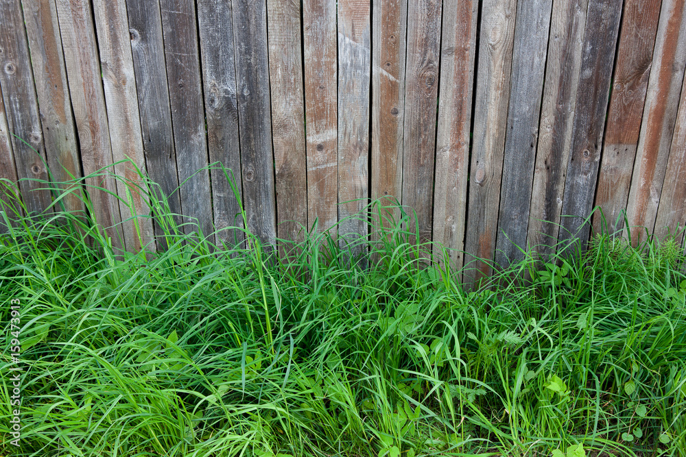 fence on green meadow in nice summer day fence on green meadow in nice summer day