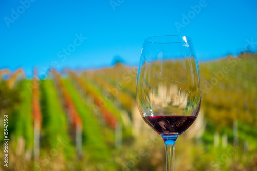Cup of red wine on vineyard background in waiheke island in auckland, in a beautiful blue sky in summer time