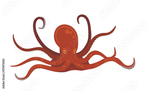Red octopus on white background. Vector flat illustration.