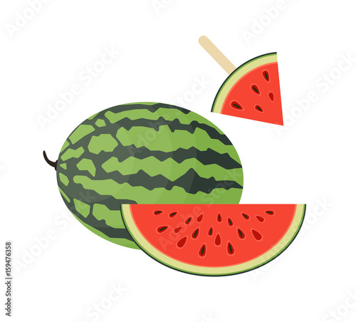 Fresh, juicy and ripe watermelon whole, big slice and popsicles. Vector flat illustration.