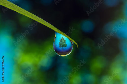 A tree reflected within a drop hanging from a grass wire. The blurred background is green and blue.  © mattia_b