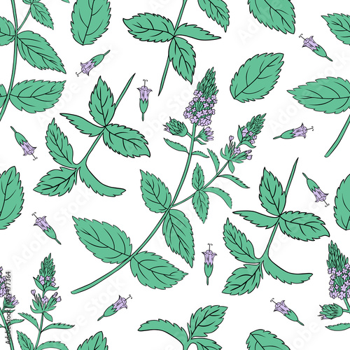 Mint leaves  peppermint buds isolated on white background  Hand drawn vector seamless floral pattern  spicy herb  kitchen texture  Doodle cooking ingredient for design package tea  wallpaper  cosmetic