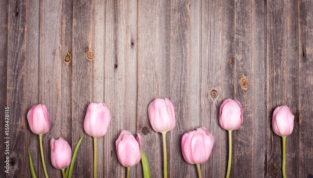 Row of tulips on wooden weathered background with space for message. Mother's Day background. Top view.