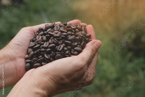 Woman hand holding coffee beans on nature background. © krisana