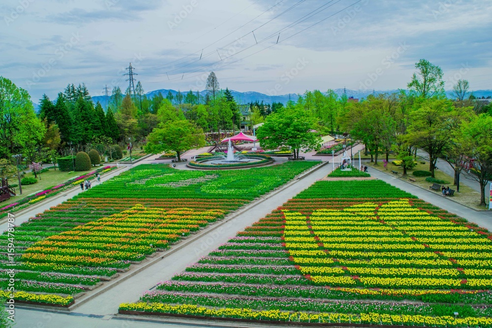 Obraz premium 花の地上絵