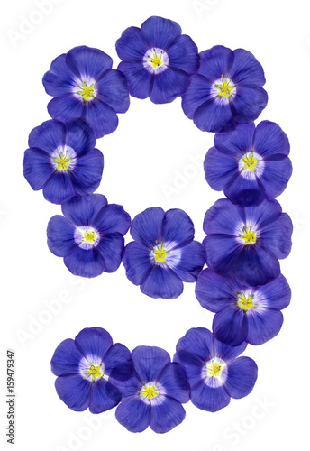 Arabic numeral 9, nine, from blue flowers of flax, isolated on white background